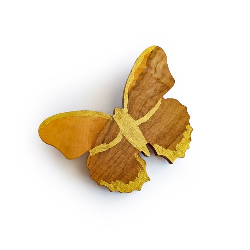 Pin Butterfly