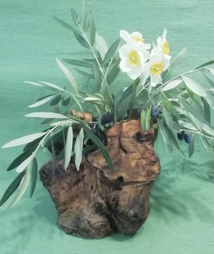 Κορμός Ελιας-image2-990