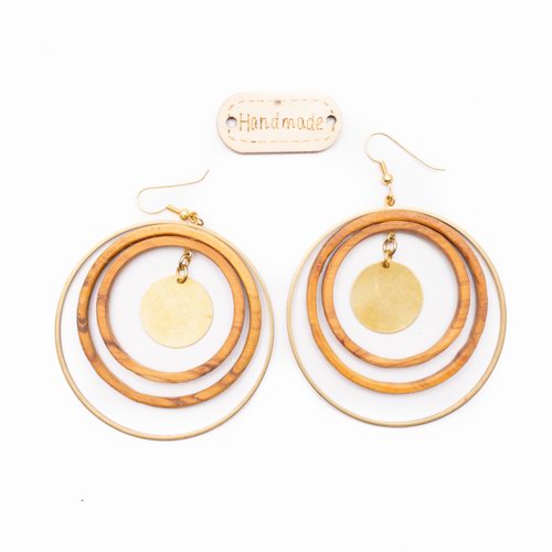 Earrings With Bronze-image2-652